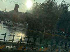 -金刚山烧烤(红旗大街店)