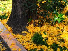 -沪东工人文化宫