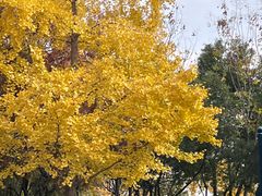 -秀沿路(地铁站)