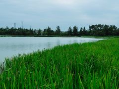 -三圣花乡旅游区