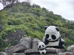-柳州市动物园