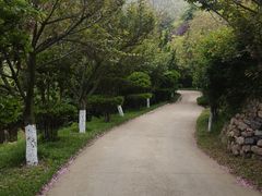 -石老人观光园