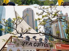-陆家嘴中心绿地
