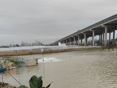 -辉记虾塘海鲜农庄