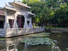 -深圳国际园林花卉博览园