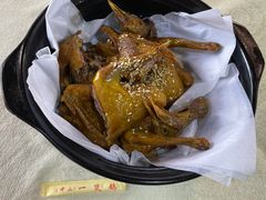 -一煲鸽