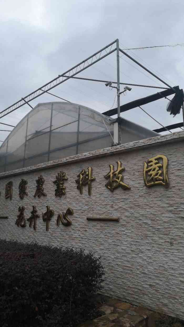 国家科技园花卉中心-"快要过新年了,来帮公司采购点盆景,再来点.