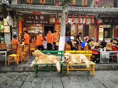 -八木轩·寻味大理白族民俗餐厅(文献路店)