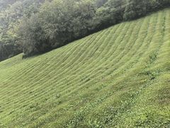 -敬亭山风景名胜区