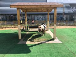 -萌宠亲子动物乐园(槐房万达店)