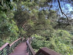 -深圳仙湖植物园