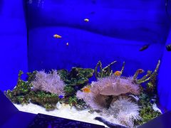 -绿色星球动物主题公园