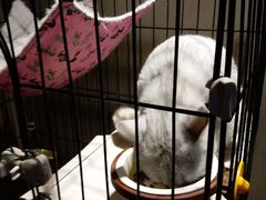 -津菜宋记老房子(鼓楼店)