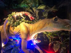 -恐龙探索乐园(磁器口店)