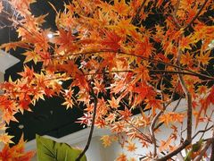 -武汉荟聚