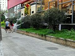 -福照楼汽锅鸡·云南菜(护国路店)