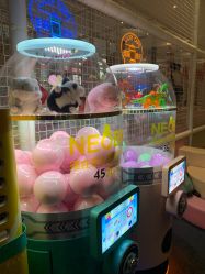 点击看大图 -超级奈尔宝SUPER NEOBIO(杭州星光店)