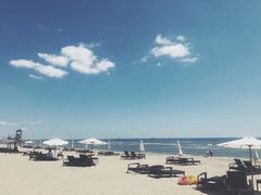 -港畔赶海蒸汽海鲜烧烤自助(仙螺岛店)