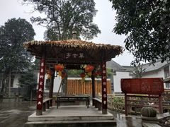 -郫都区农科村景区