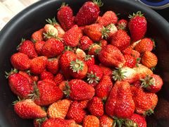 -中南财经政法大学(首义校区)