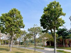 -白石龙音乐公园