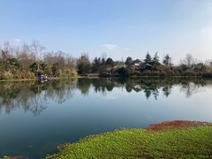 -桤木河湿地公园