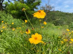 -白水寺森林公园