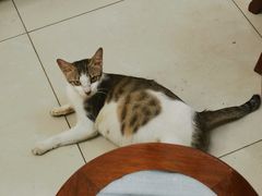 -崖口云吞(石岐店)