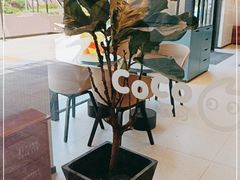 -CoCo都可(中集店)