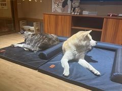 -大江户·温泉洗浴(浑南店)