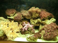 -北戴河圣蓝海洋公园