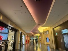 -TIAT DUTY FREE SHOP NORTH(羽田机场店)