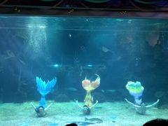 -石家庄海洋公园