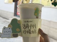 -猫的魔法密林(衣裳街店)