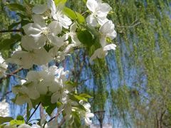 -元大都城垣遗址公园