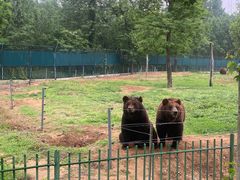 -秦皇岛野生动物园