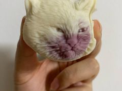 -稻香村(观前街店)