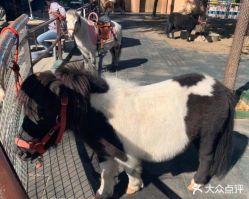 -大望京儿童游乐场