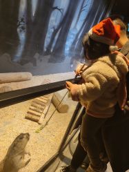 -酷嗒动物文化乐园(cutezoo西溪乐天城店)