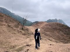 -天龙顶山地公园