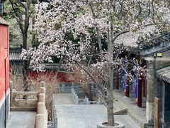 -潭柘寺景区