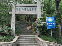 -紫金山山顶公园