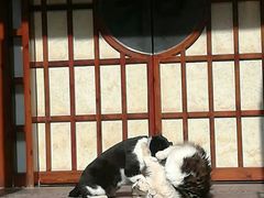 -日本风情街