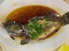 -新金盛·海鲜酒楼(盐田店)