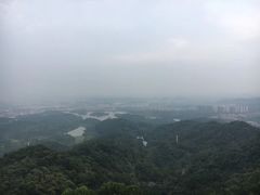 -大屏嶂森林公园