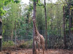 -清迈夜间动物园