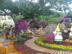 -松山湖南湖湾露营营地