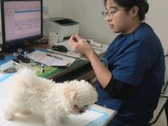 -派美特宠物医院·核磁CT·骨科肿瘤·疑难转诊(沈农禾丰店)