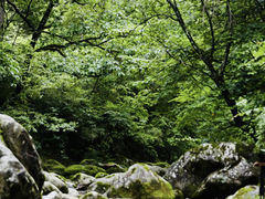 -秦岭峡谷漂流景区