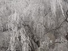 -秦岭终南山世界地质公园翠华山景区